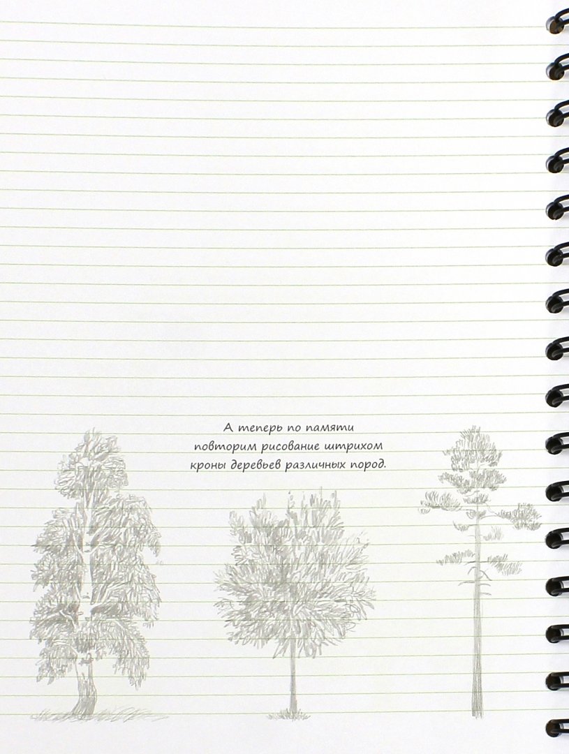 Иллюстрация 1 из 8 для Sketchbook. Рисуем пейзаж. Экспресс-курс рисования (темно-коричневая) - И. Осипов | Лабиринт - канцтовы. Источник: Лабиринт