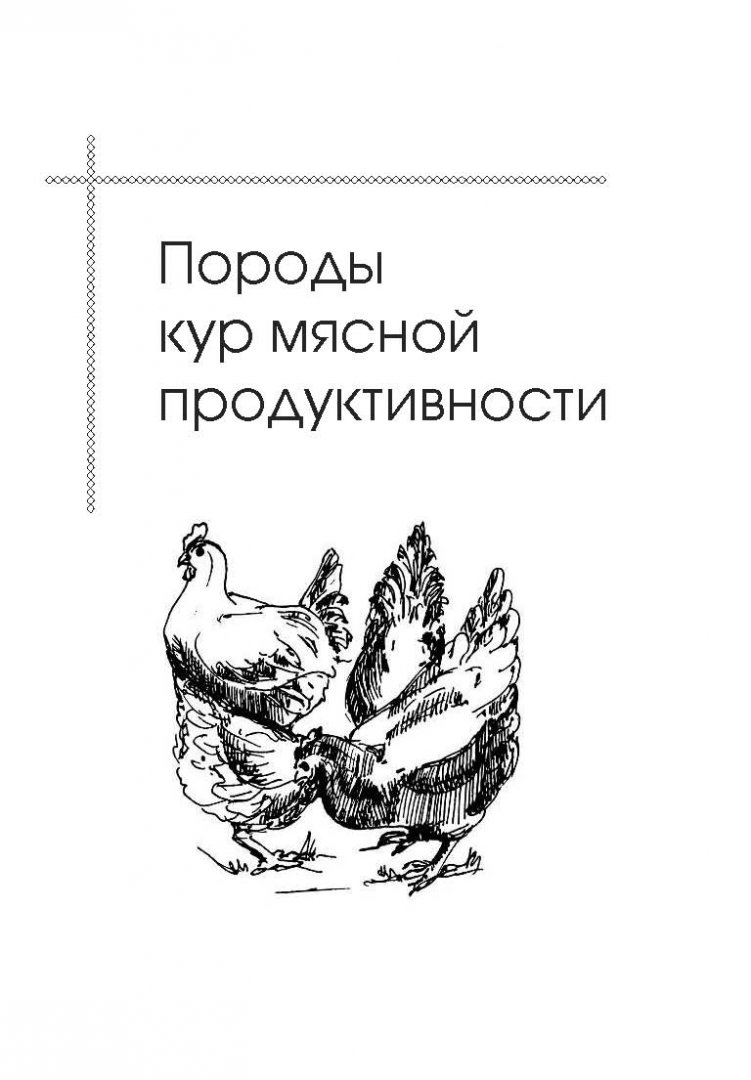 Иллюстрация 3 из 16 для Куры мясных пород - Иван Балашов | Лабиринт - книги. Источник: Лабиринт