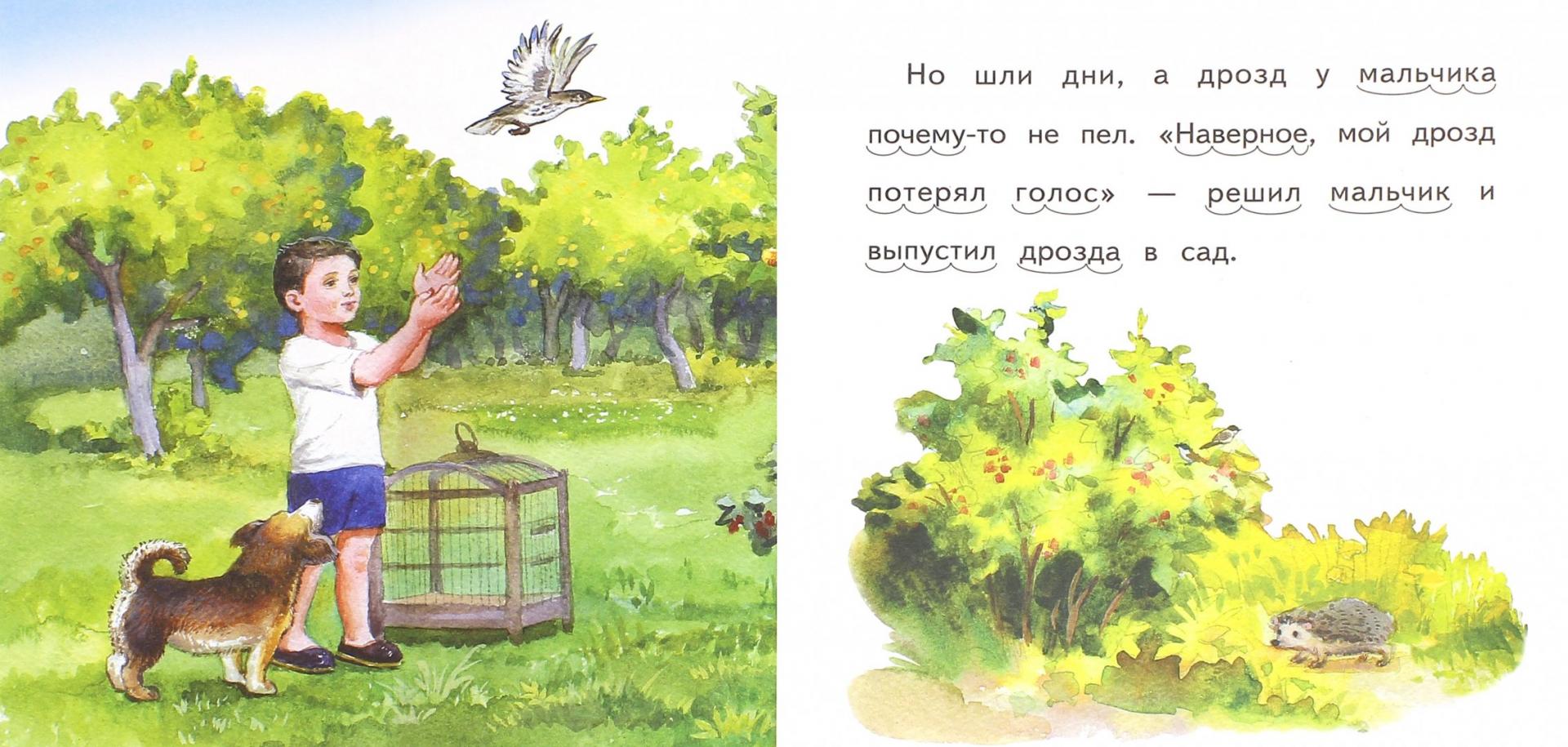 Иллюстрация 1 из 21 для Солнечный котёнок - Владимир Степанов | Лабиринт - книги. Источник: Лабиринт