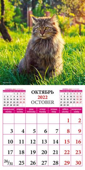 Календарь на 2022 год Кошки мира (70204) купить | Лабиринт