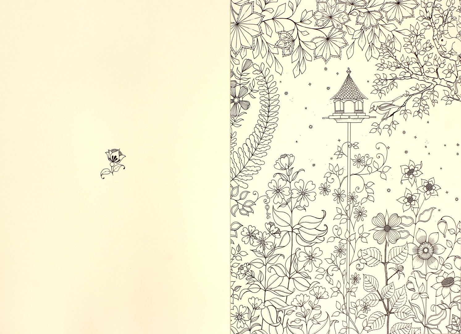 Иллюстрация 1 из 12 для Таинственный сад. 20 арт-постеров для оформления в багет - Джоанна Бэсфорд | Лабиринт - книги. Источник: Лабиринт