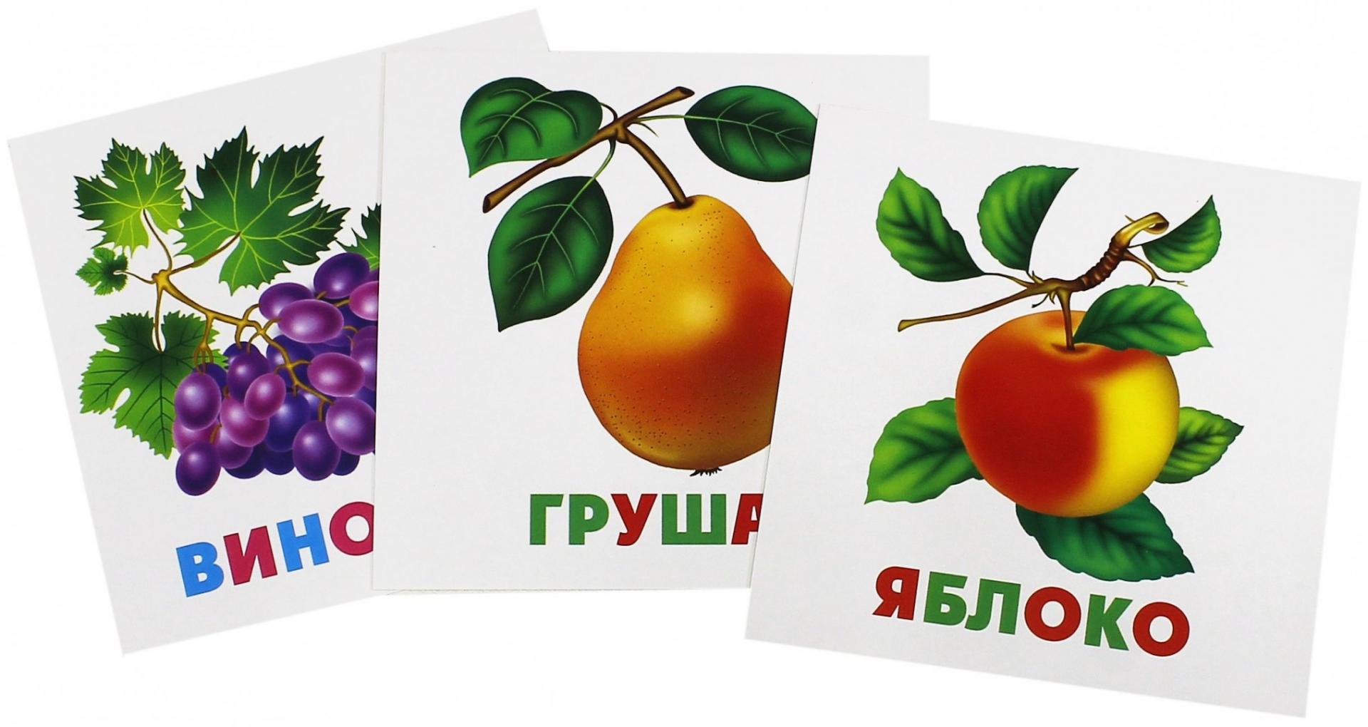 Иллюстрация 1 из 13 для Развивающие карточки "Фрукты-ягоды" (12 штук) (37270-50) | Лабиринт - книги. Источник: Лабиринт