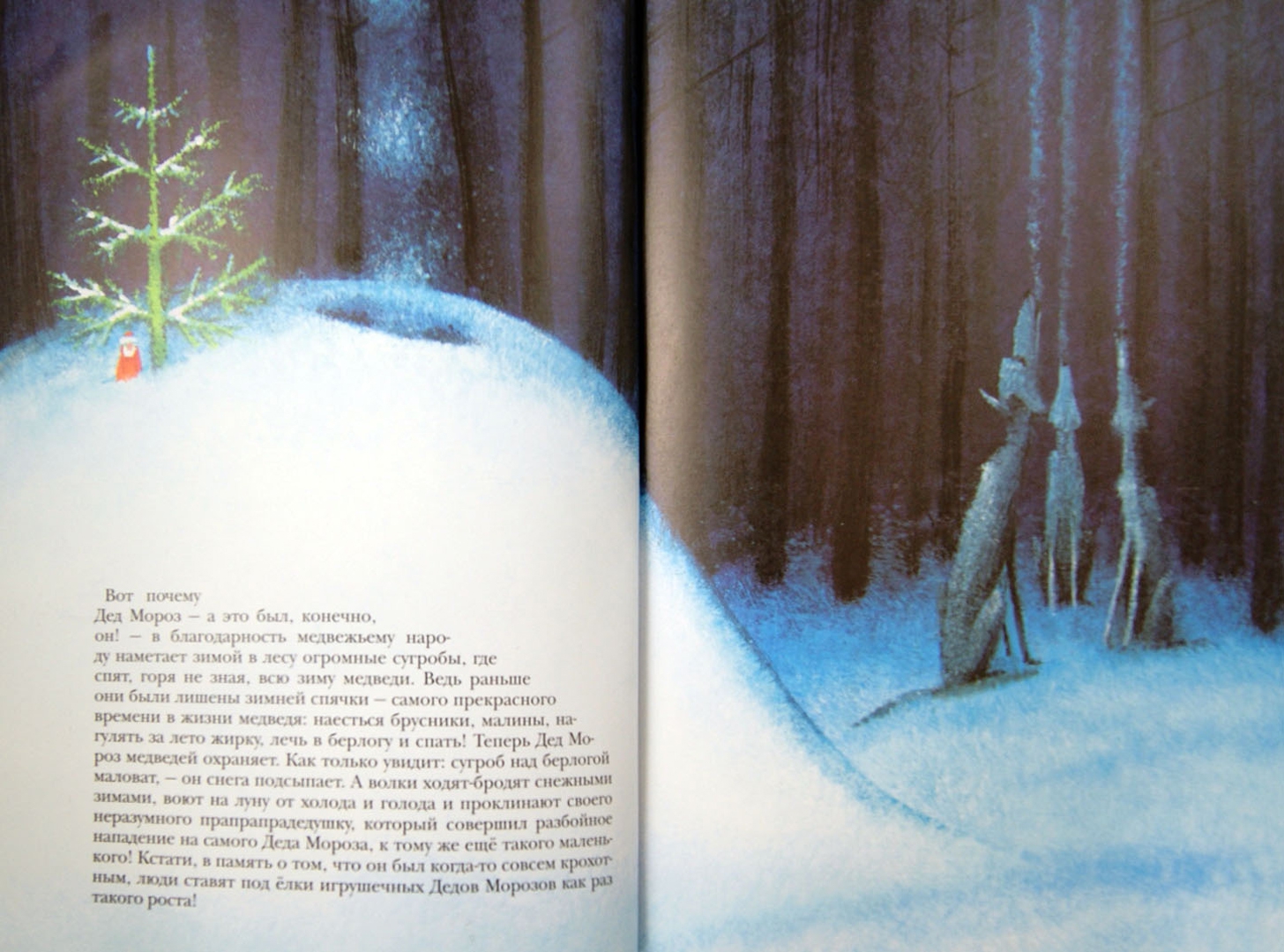 Иллюстрация 1 из 40 для Как Дед Мороз на свет появился - Москвина, Седов | Лабиринт - книги. Источник: Лабиринт