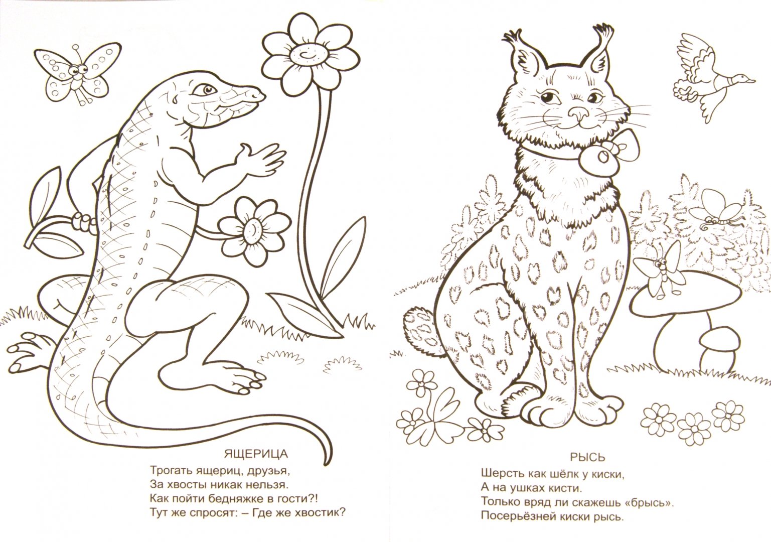 Иллюстрация 1 из 11 для Эти милые зверушки. Раскраска - Елена Михайленко | Лабиринт - книги. Источник: Лабиринт
