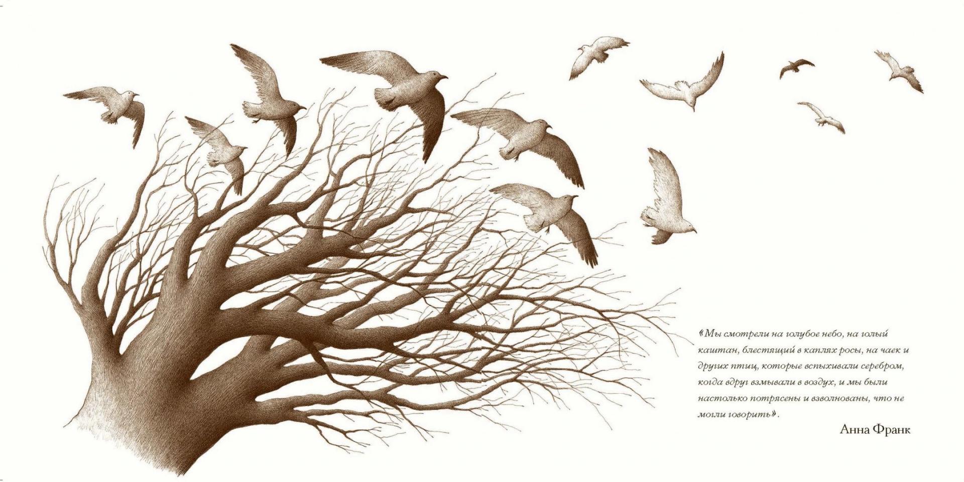 Иллюстрация 4 из 41 для Дерево во дворе. Взгляд из окна Анны Франк - Джефф Гаттсфелд | Лабиринт - книги. Источник: Лабиринт