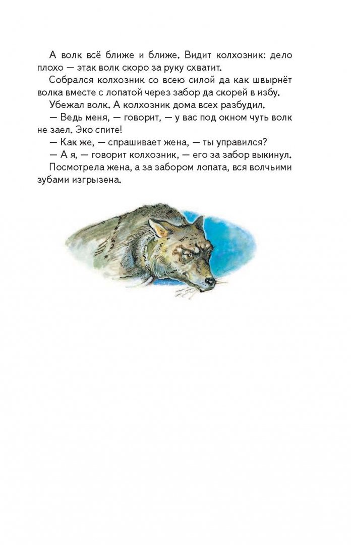 Иллюстрация 9 из 39 для Кенгура - Борис Житков | Лабиринт - книги. Источник: Лабиринт