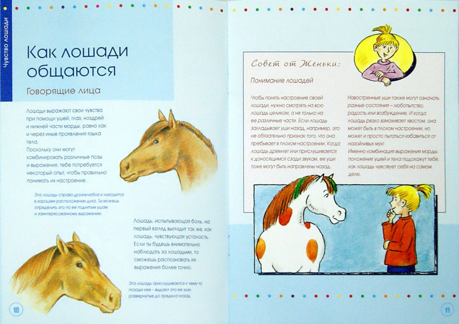 Иллюстрация 1 из 3 для Учимся понимать лошадей вместе с Кадди - Карола Кессель | Лабиринт - книги. Источник: Лабиринт