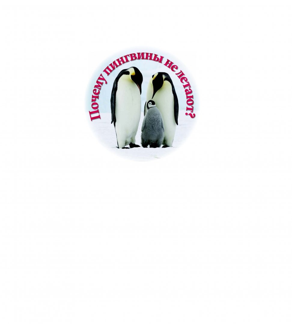 Иллюстрация 1 из 28 для Почему пингвины не летают? Твой яркий мир животных - Сергей Филин | Лабиринт - книги. Источник: Лабиринт
