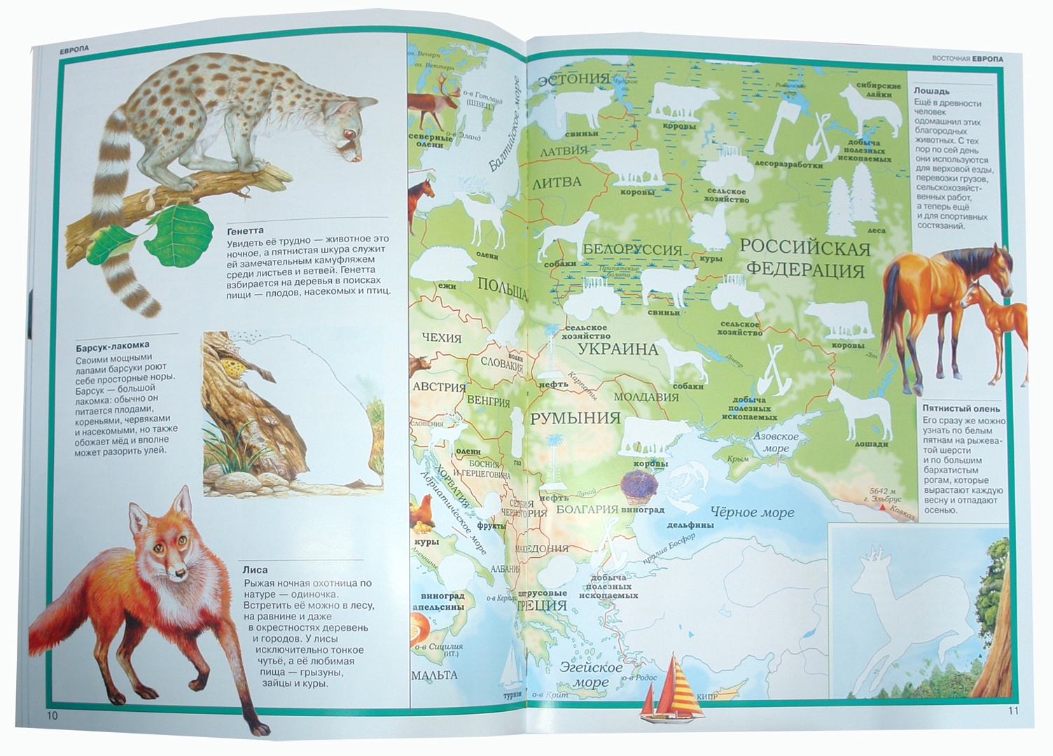 Иллюстрация 1 из 17 для Атлас. Животные всего мира | Лабиринт - книги. Источник: Лабиринт