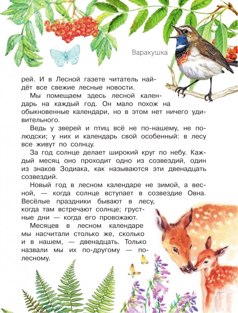 Иллюстрация 3 из 33 для Лесная газета - Виталий Бианки | Лабиринт - книги. Источник: Лабиринт