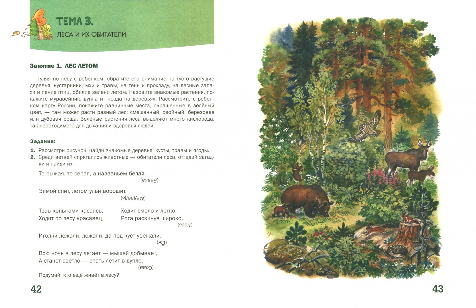 Иллюстрация 1 из 32 для Я познаю мир природы! 47 развивающих занятий для детей 5-8 лет - Светлана Николаева | Лабиринт - книги. Источник: Лабиринт
