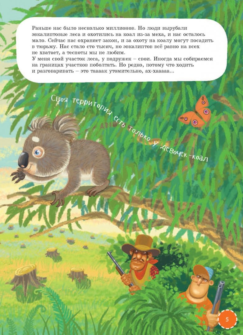 Иллюстрация 5 из 35 для Я коала - Ирина Лукьянова | Лабиринт - книги. Источник: Лабиринт
