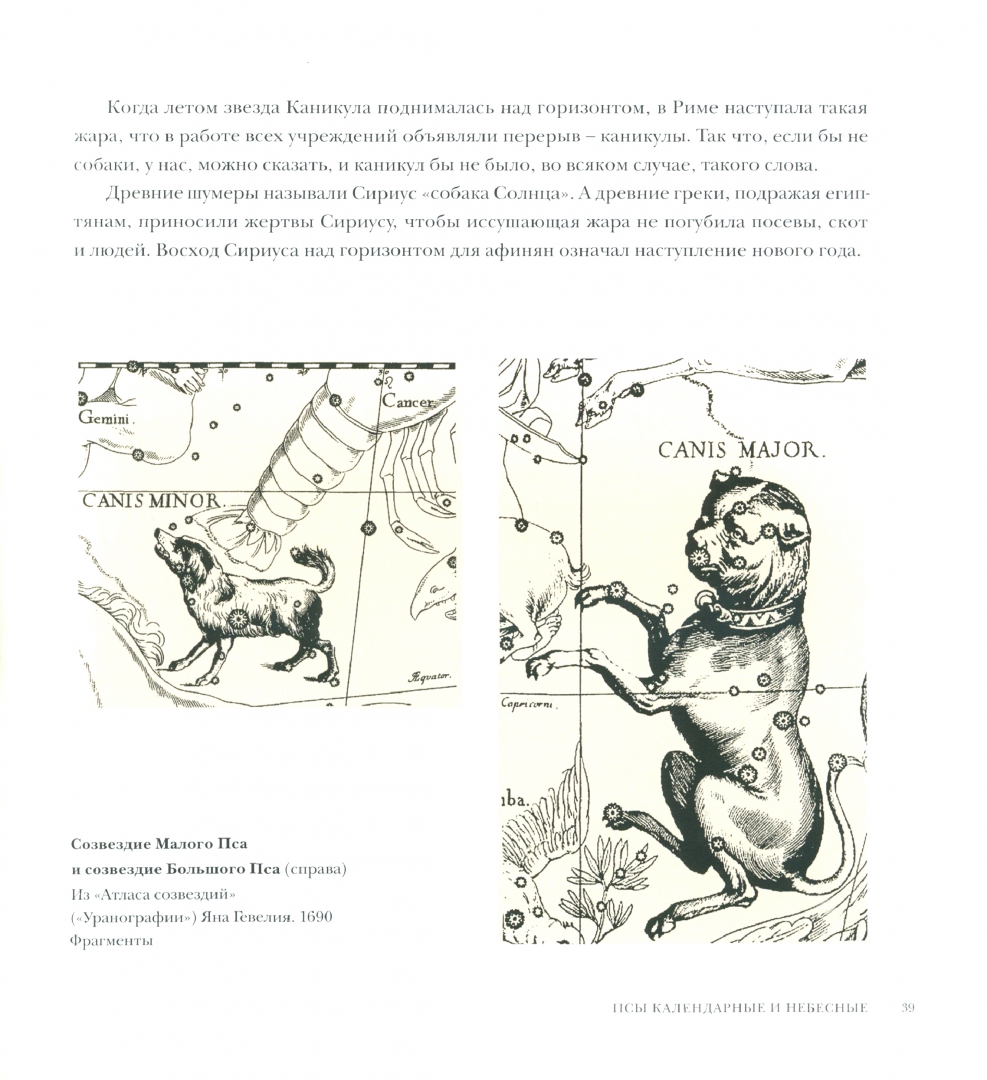 Иллюстрация 2 из 20 для Боги, люди, собаки - Голь, Халтунен, Мамонова | Лабиринт - книги. Источник: Лабиринт