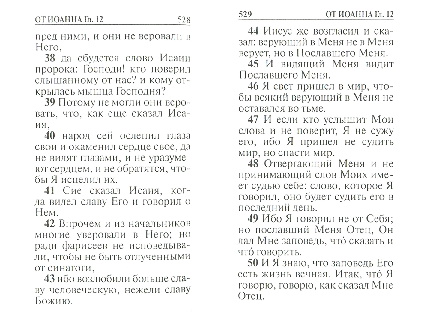 Иллюстрация 1 из 5 для Святое Евангелие на русском языке | Лабиринт - книги. Источник: Лабиринт