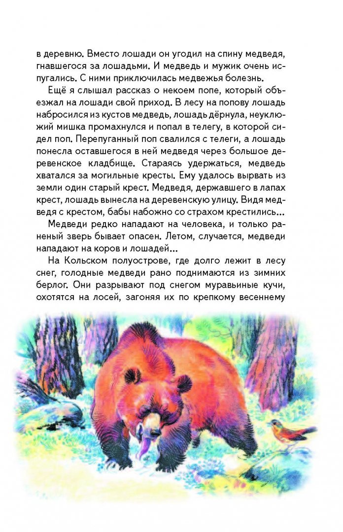 Иллюстрация 13 из 26 для Русский лес - Иван Соколов-Микитов | Лабиринт - книги. Источник: Лабиринт