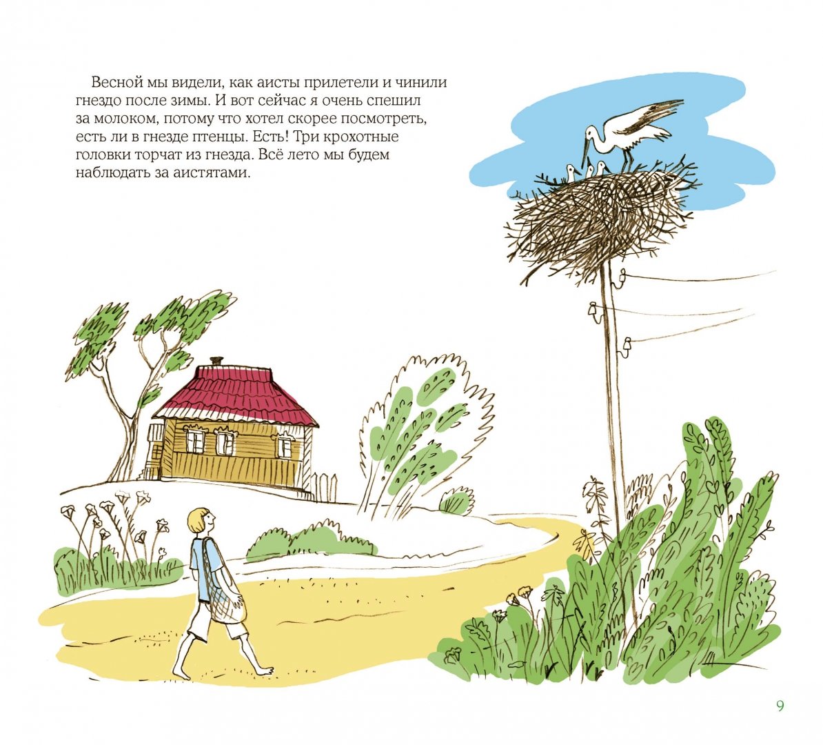 Иллюстрация 8 из 87 для Лето в Деревне - Зина Сурова | Лабиринт - книги. Источник: Лабиринт