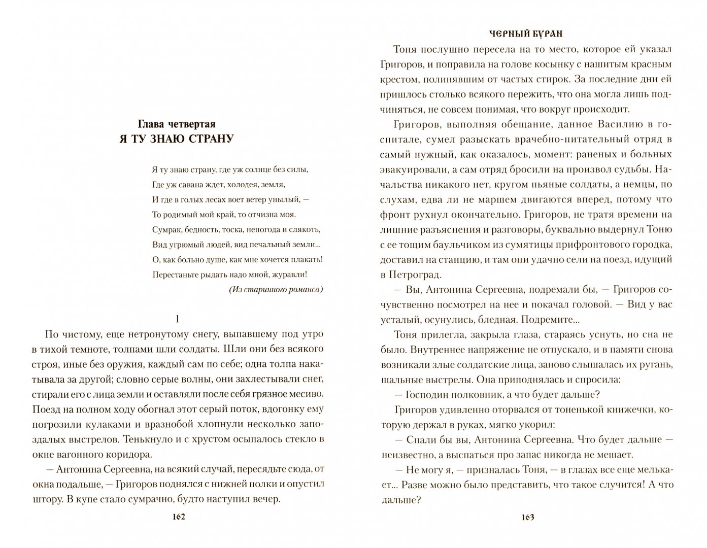 Иллюстрация 1 из 13 для Черный буран - Михаил Щукин | Лабиринт - книги. Источник: Лабиринт