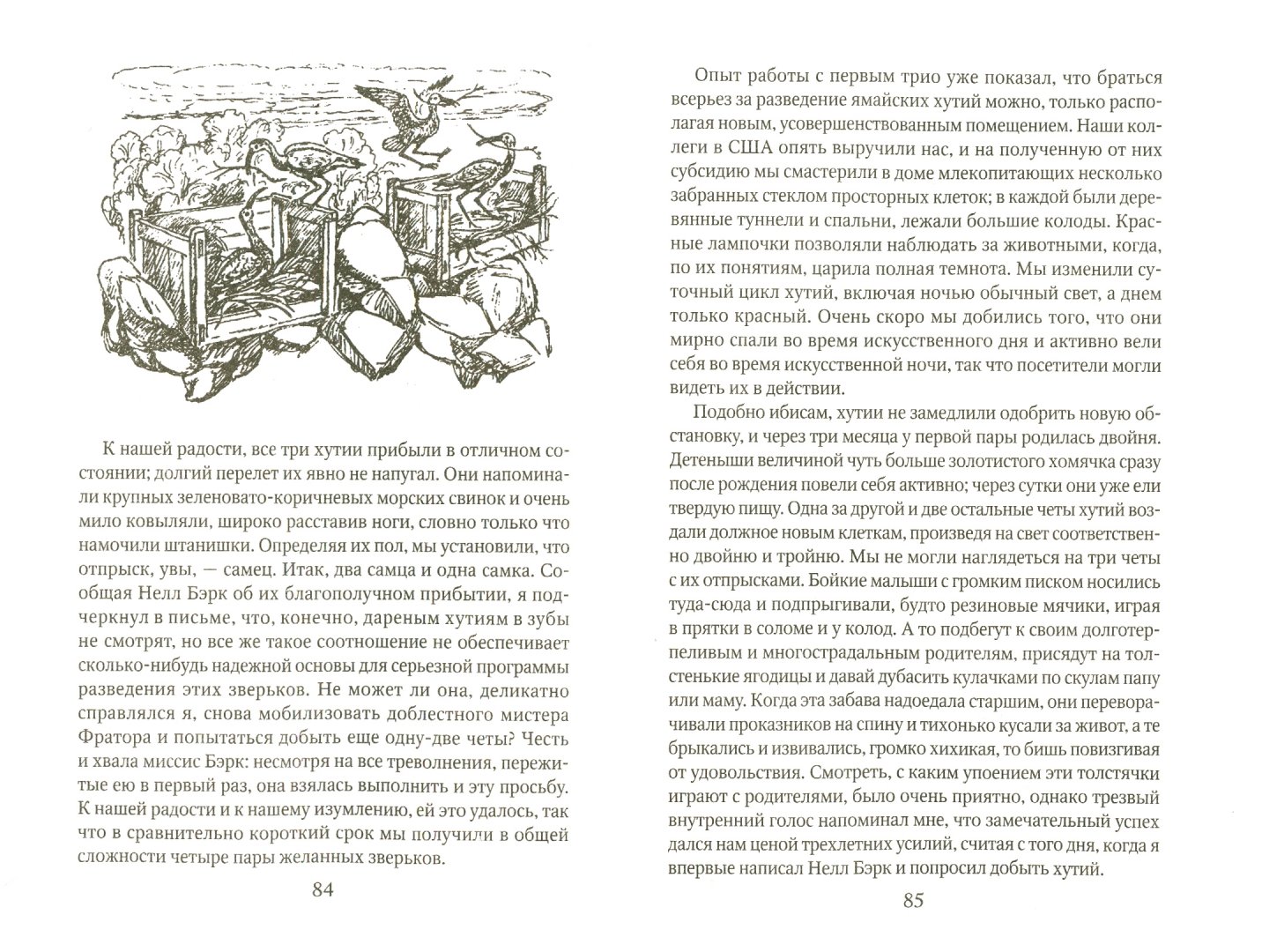 Иллюстрация 1 из 49 для Ковчег на острове - Джеральд Даррелл | Лабиринт - книги. Источник: Лабиринт