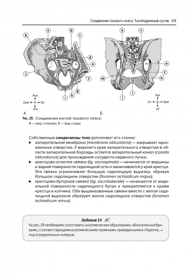 Иллюстрация 8 из 19 для Анатомия соединений - Валентин Козлов | Лабиринт - книги. Источник: Лабиринт