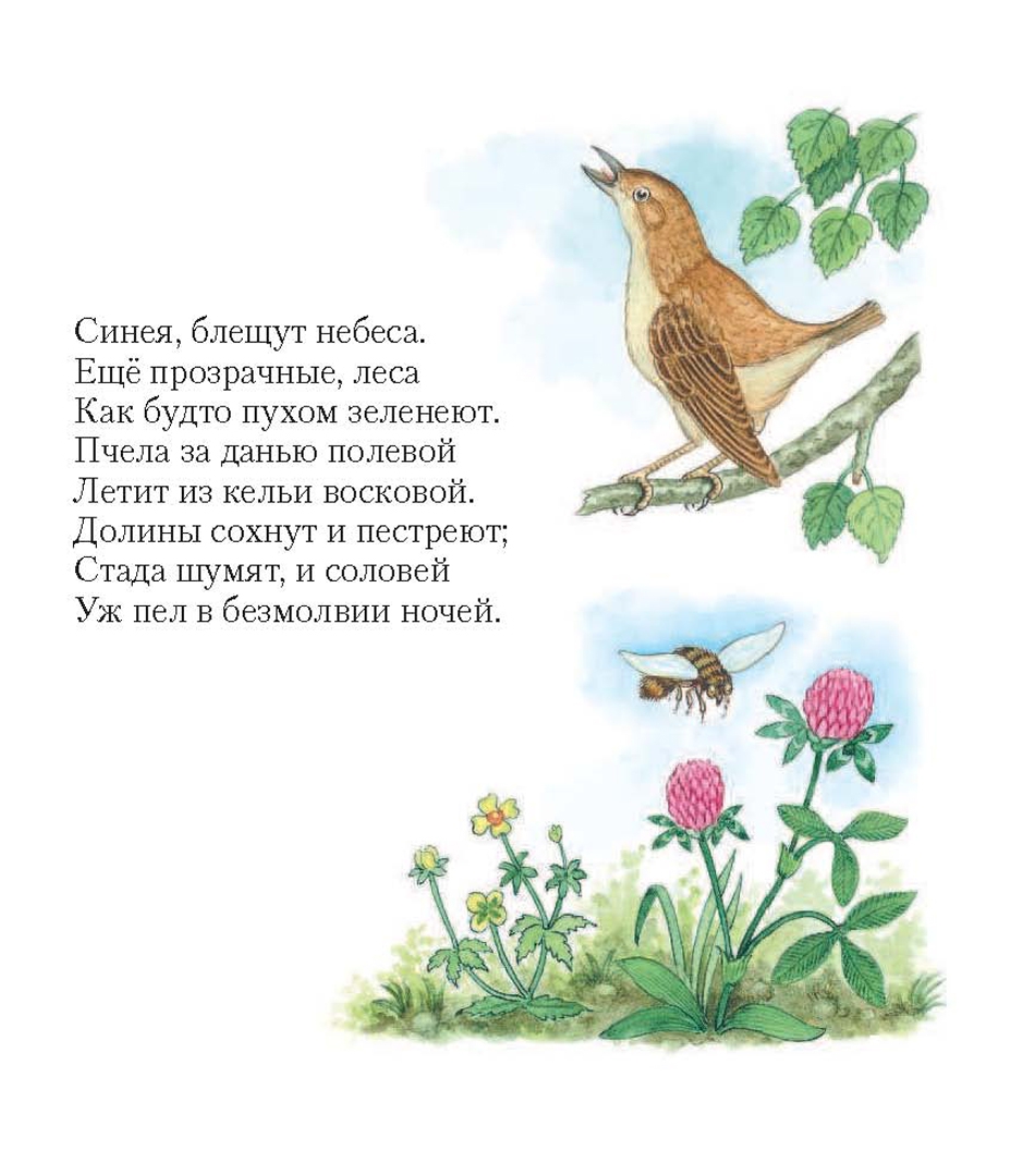 Русские короткие стихотворения. Стихи о природе. Стихи о природе короткие. Стих о природе маленький. Стиз про природу маленкий.