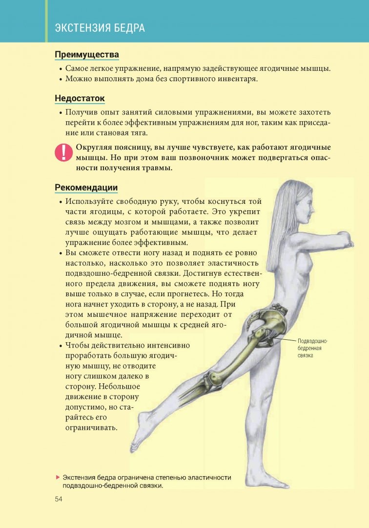 Иллюстрация 4 из 85 для Анатомия силовых тренировок для женщин - Делавье, Гандил | Лабиринт - книги. Источник: Лабиринт