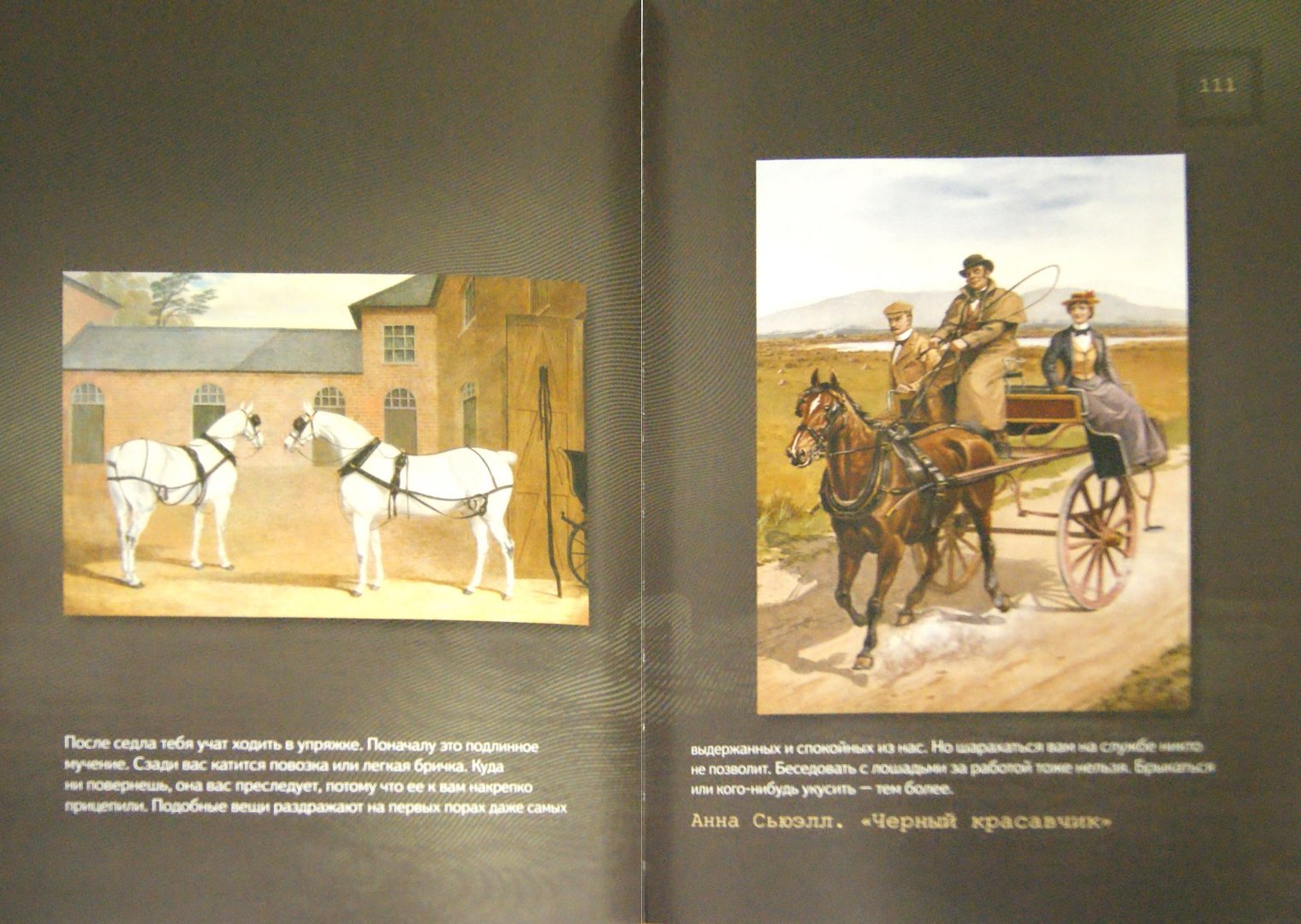 Иллюстрация 1 из 15 для Лошади. Старинные открытки и иллюстрации | Лабиринт - книги. Источник: Лабиринт