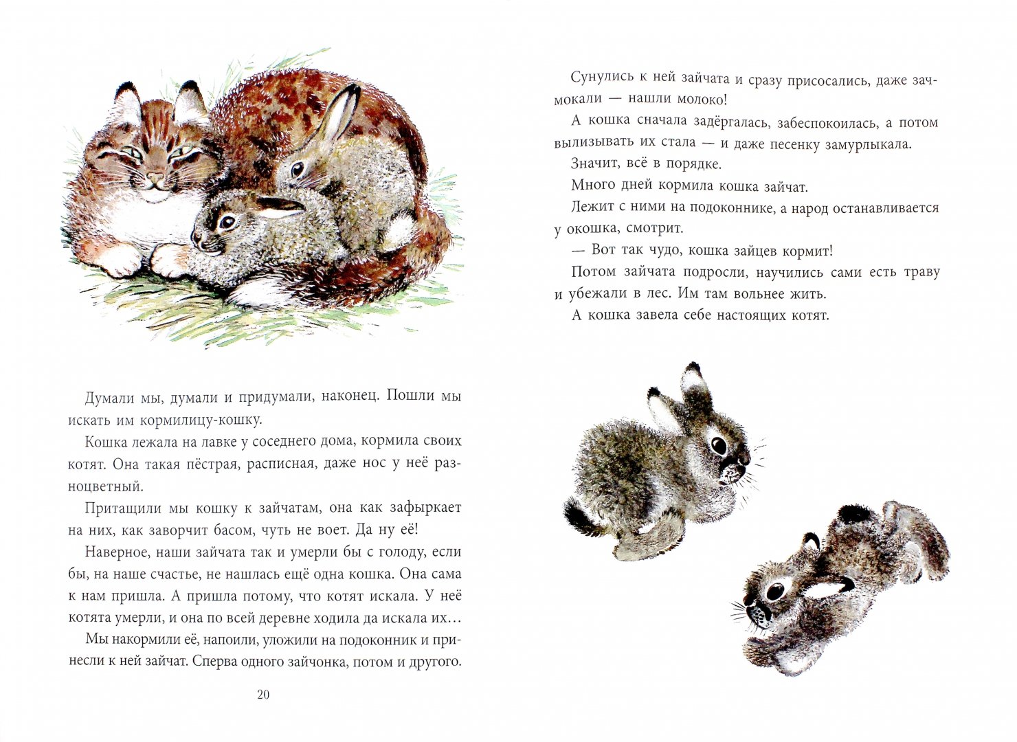 Иллюстрация 1 из 30 для Почему Тюпа не ловит птиц. Рассказы - Евгений Чарушин | Лабиринт - книги. Источник: Лабиринт