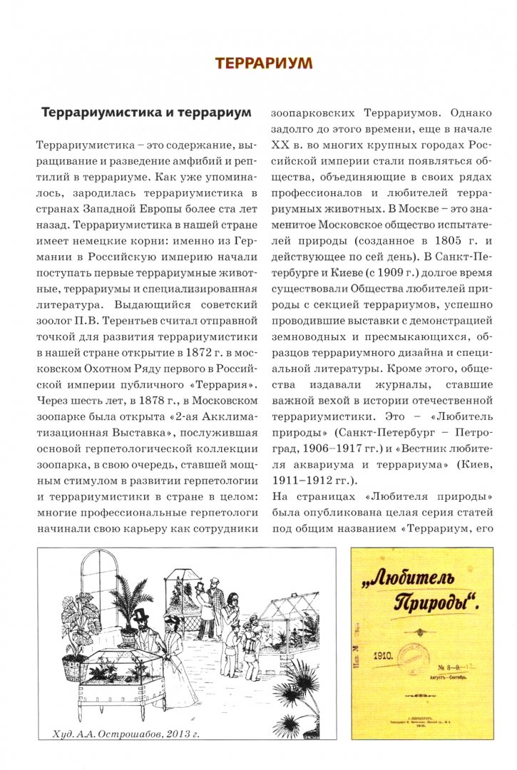 Террариумистика Как обустроить террариум по всем правилам