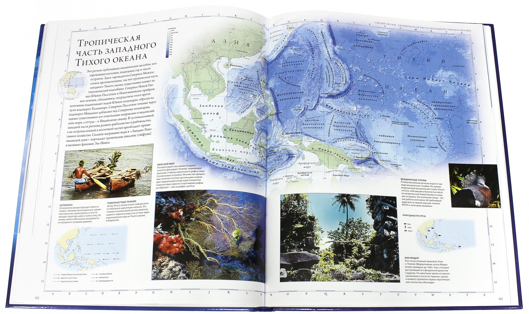 Иллюстрация 7 из 32 для Океаны. Иллюстрированный атлас - Хатчинсон, Макмиллан, Лутьехармс | Лабиринт - книги. Источник: Лабиринт