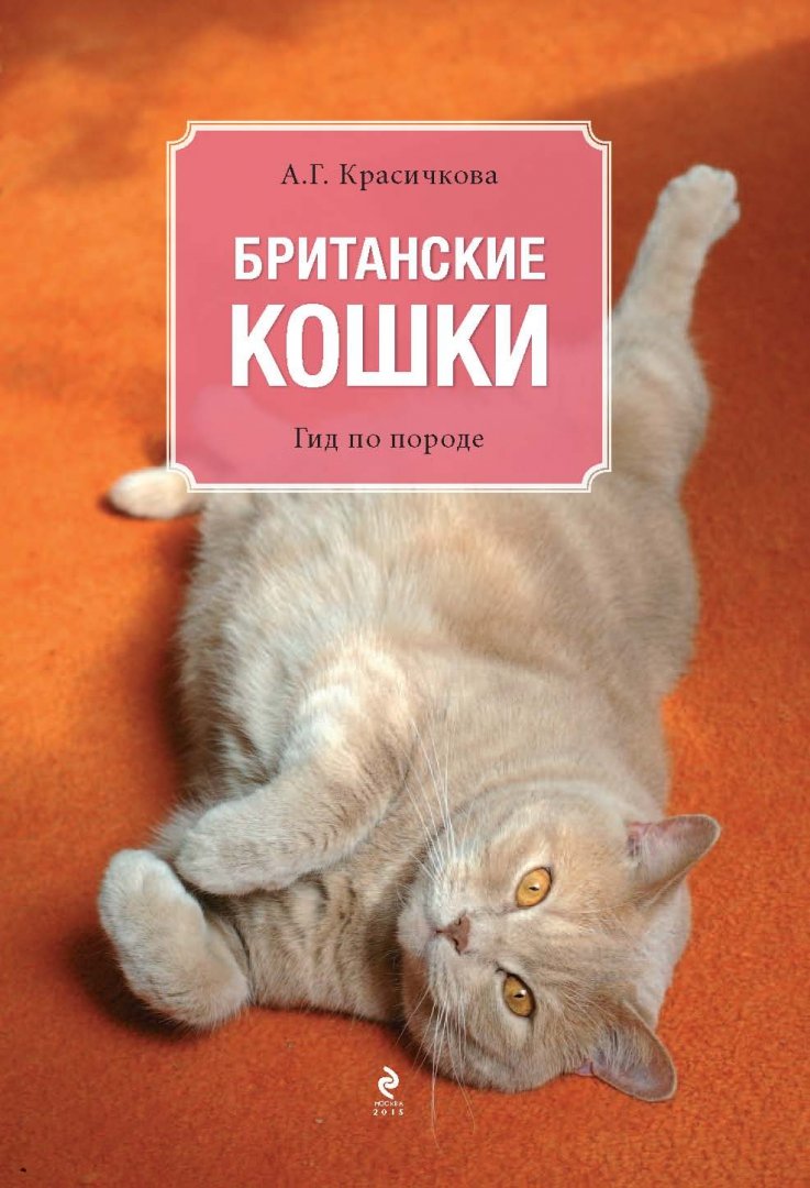 Иллюстрация 1 из 30 для Британские кошки. Гид по породе - Анастасия Красичкова | Лабиринт - книги. Источник: Лабиринт