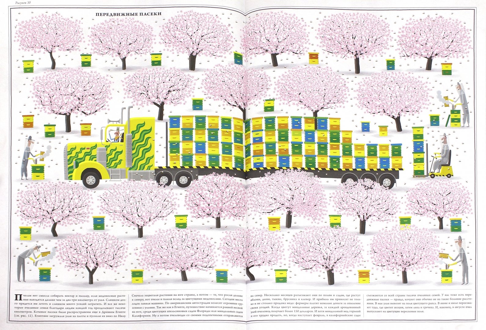 Иллюстрация 4 из 56 для Пчелы - Петр Соха | Лабиринт - книги. Источник: Лабиринт