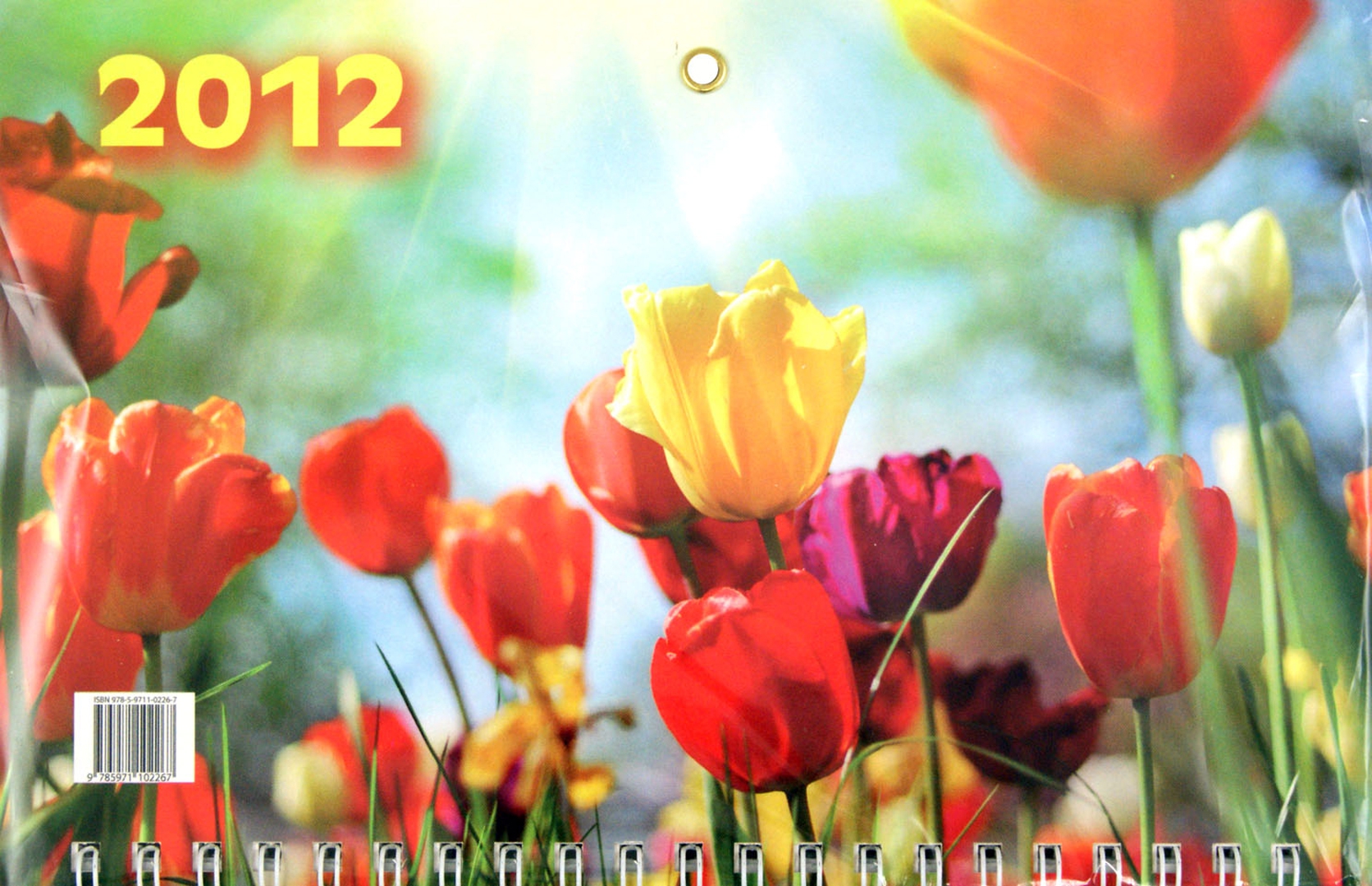 Иллюстрация 1 из 2 для Настенный квартальный календарь "Тюльпаны" на 2012 год | Лабиринт - сувениры. Источник: Лабиринт