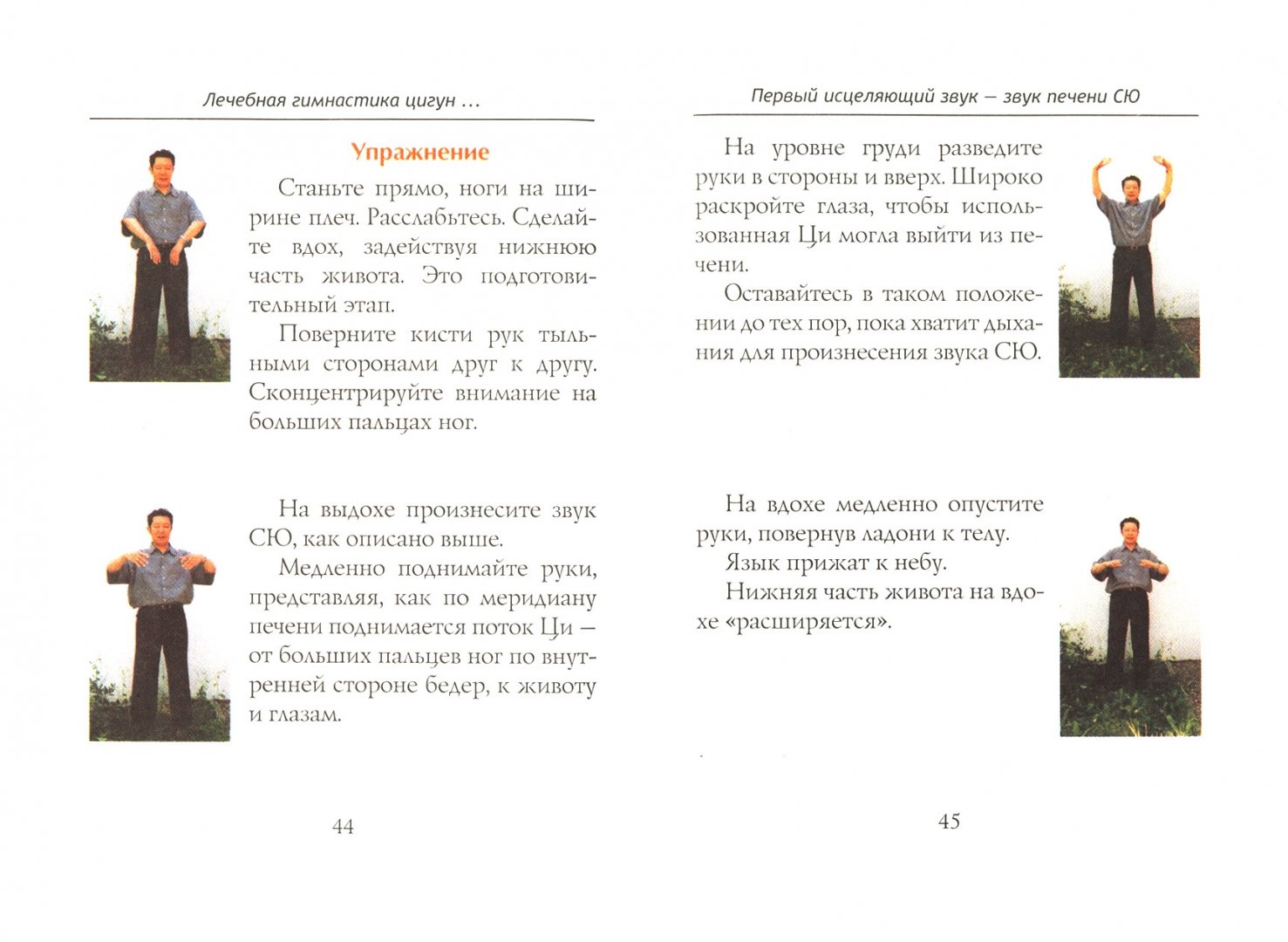 Иллюстрация 1 из 14 для Лечебная гимнастика цигун для восстановления жизненной энергии - Инка Йохум | Лабиринт - книги. Источник: Лабиринт