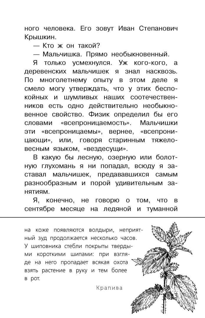Иллюстрация 6 из 20 для Барсучий нос - Константин Паустовский | Лабиринт - книги. Источник: Лабиринт