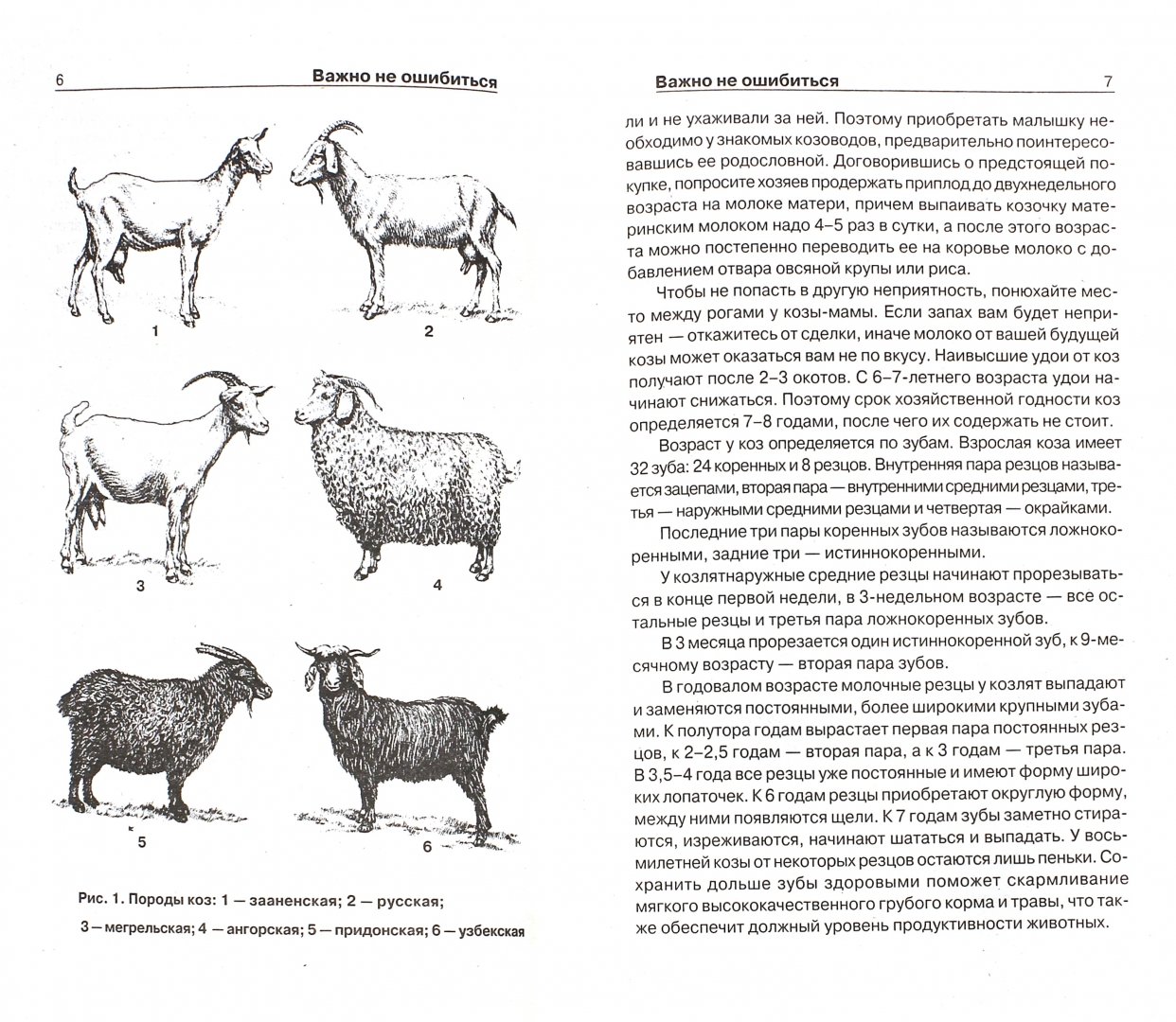 Как изменится численность мышей и коз. Таблица веса коз. Как определить Возраст козлят. Как узнать Возраст козлят. Породы коз схема.