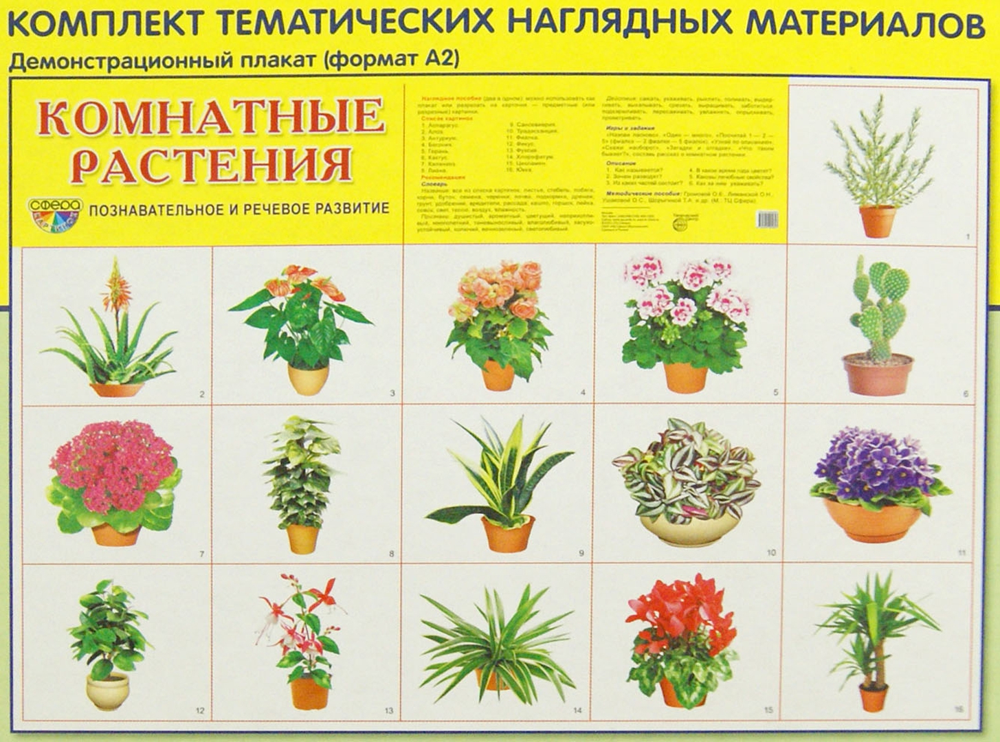 Иллюстрация 1 из 21 для Демонстрационные картинки "Комнатные растения" | Лабиринт - книги. Источник: Лабиринт