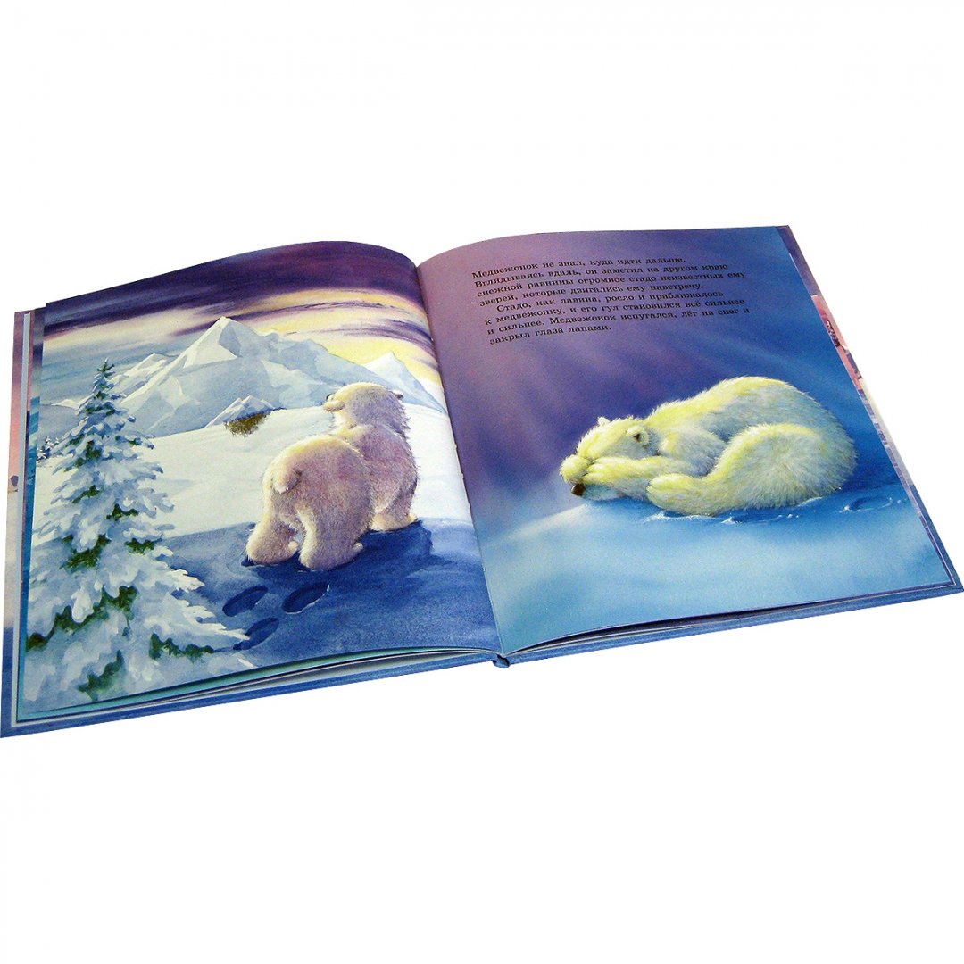 Иллюстрация 15 из 18 для Как медвежонок солнце искал (иллюстрации Хейзел Линкольн) - Хейзел Линкольн | Лабиринт - книги. Источник: Лабиринт