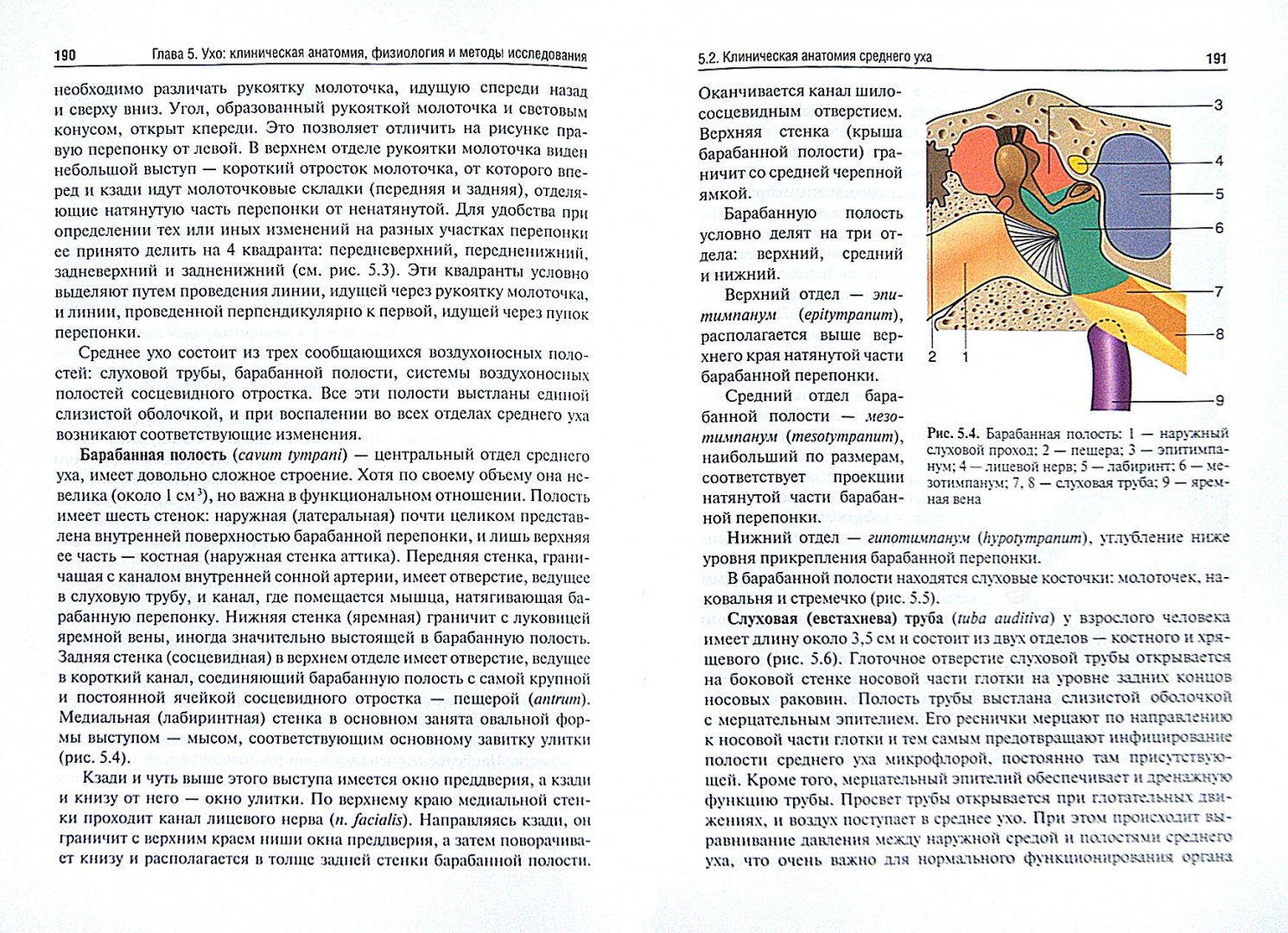 Иллюстрация 1 из 7 для Оториноларингология. Учебник - Виктор Вишняков | Лабиринт - книги. Источник: Лабиринт