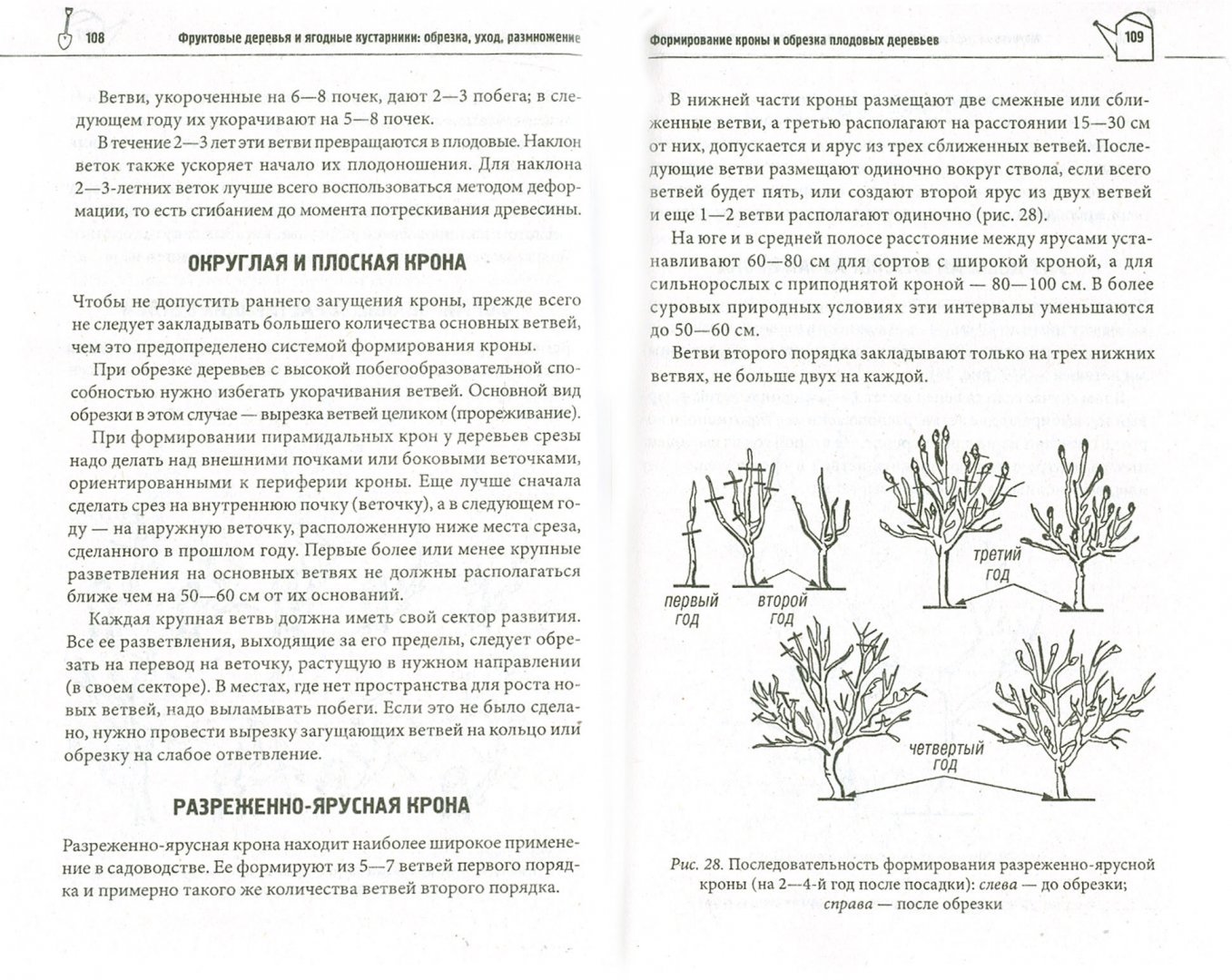 Иллюстрация 1 из 16 для Фруктовые деревья и ягодные кустарники: обрезка, уход, размножение | Лабиринт - книги. Источник: Лабиринт