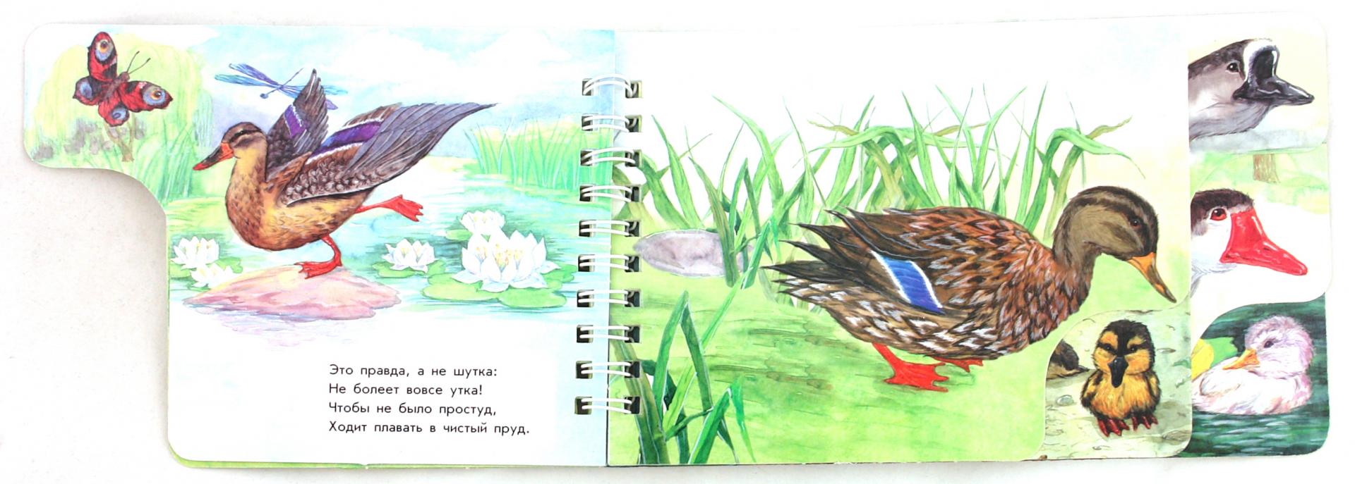 Иллюстрация 1 из 11 для На птичьем дворе - Юлия Каспарова | Лабиринт - книги. Источник: Лабиринт
