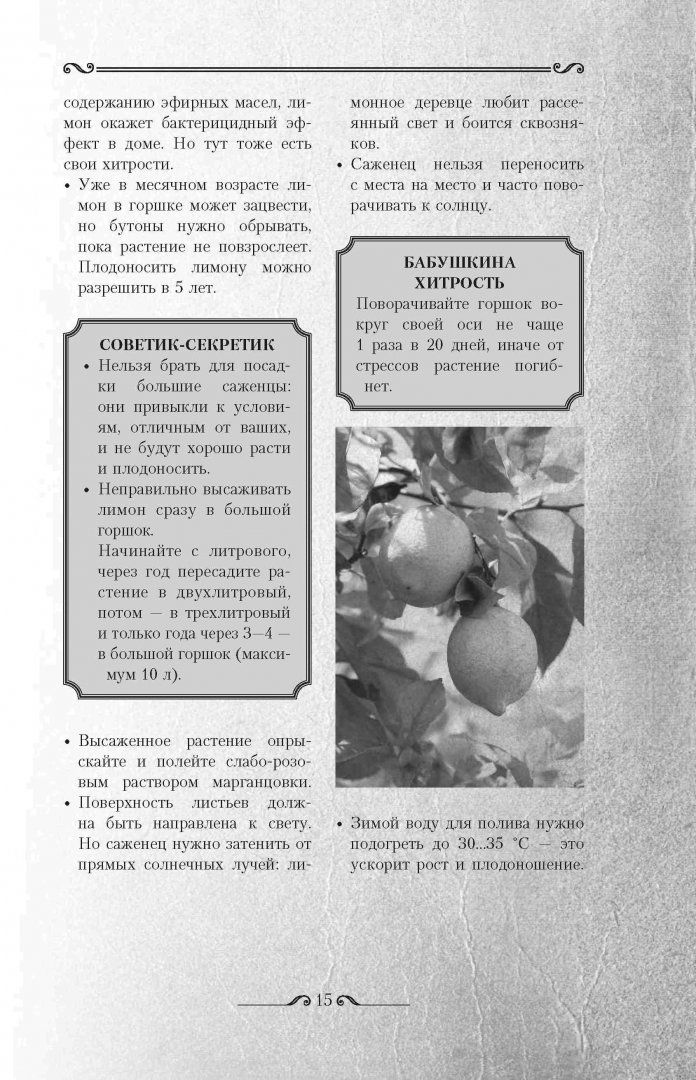 Иллюстрация 6 из 21 для Советское домоводство - Инна Тихонова | Лабиринт - книги. Источник: Лабиринт