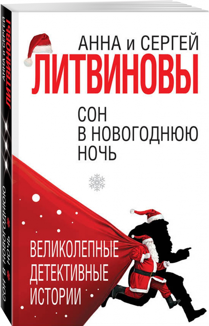 Иллюстрация 1 из 13 для Сон в новогоднюю ночь - Литвинова, Литвинов | Лабиринт - книги. Источник: Лабиринт