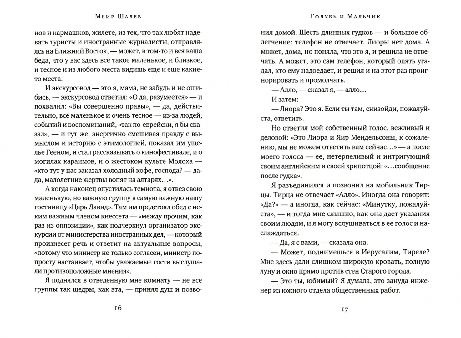 Иллюстрация 3 из 12 для Голубь и Мальчик - Меир Шалев | Лабиринт - книги. Источник: Лабиринт
