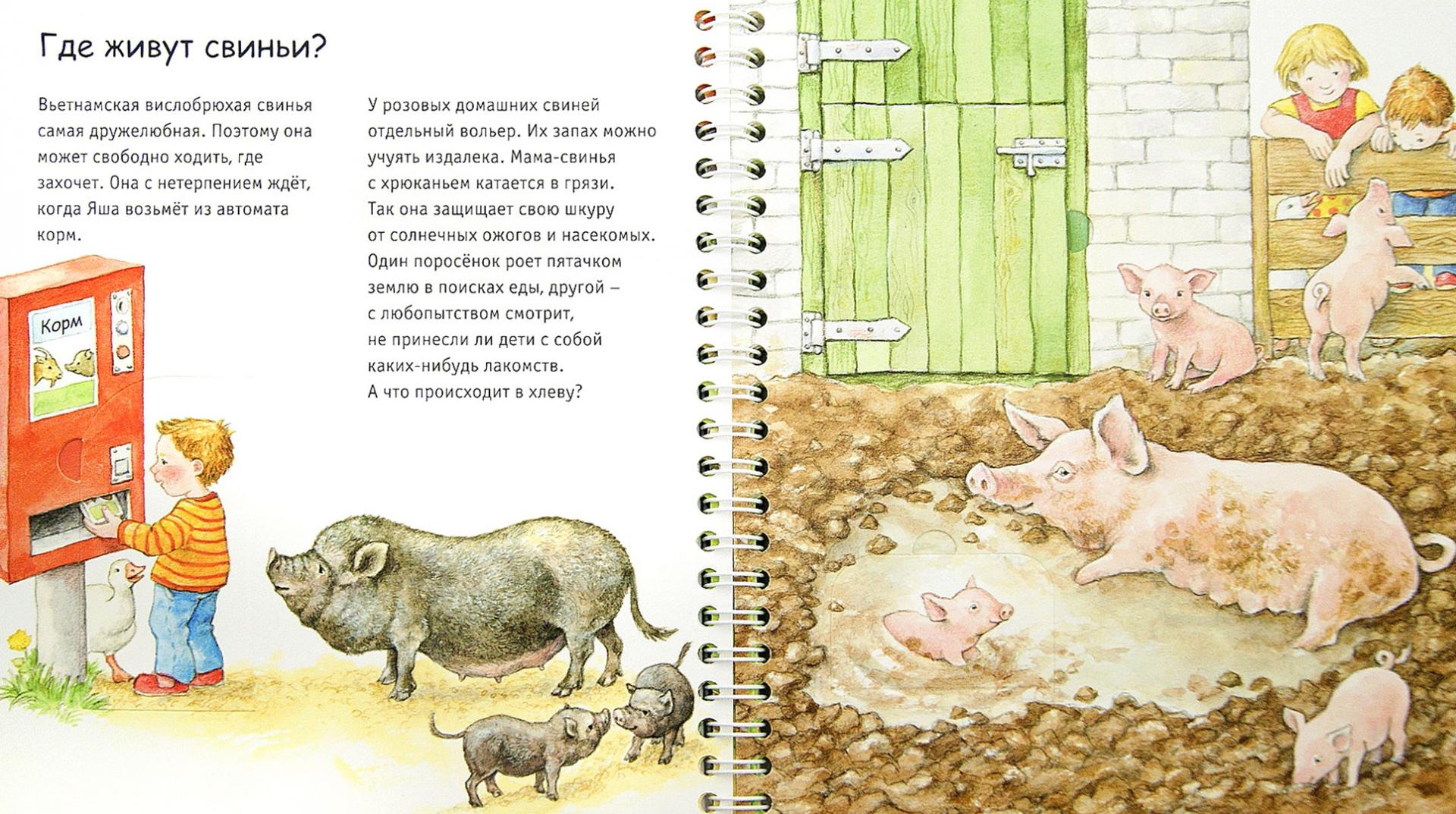 Иллюстрация 1 из 46 для Детский зоопарк - Анне Меллер | Лабиринт - книги. Источник: Лабиринт