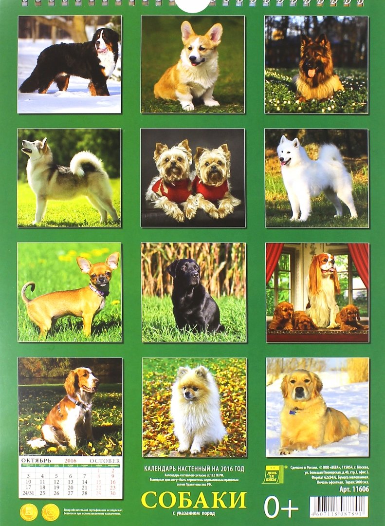 Иллюстрация 2 из 8 для Календарь настенный на 2016 год "Собаки" (11606) | Лабиринт - сувениры. Источник: Лабиринт