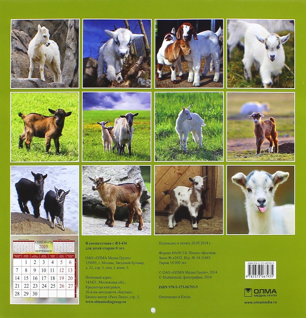 Иллюстрация 1 из 2 для Календарь 2015 "Год козы" | Лабиринт - сувениры. Источник: Лабиринт