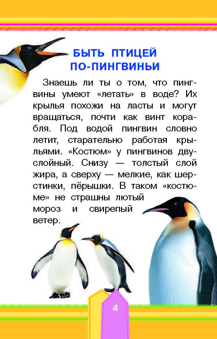 Иллюстрация 4 из 24 для Удивительные птицы - Александр Тихонов | Лабиринт - книги. Источник: Лабиринт