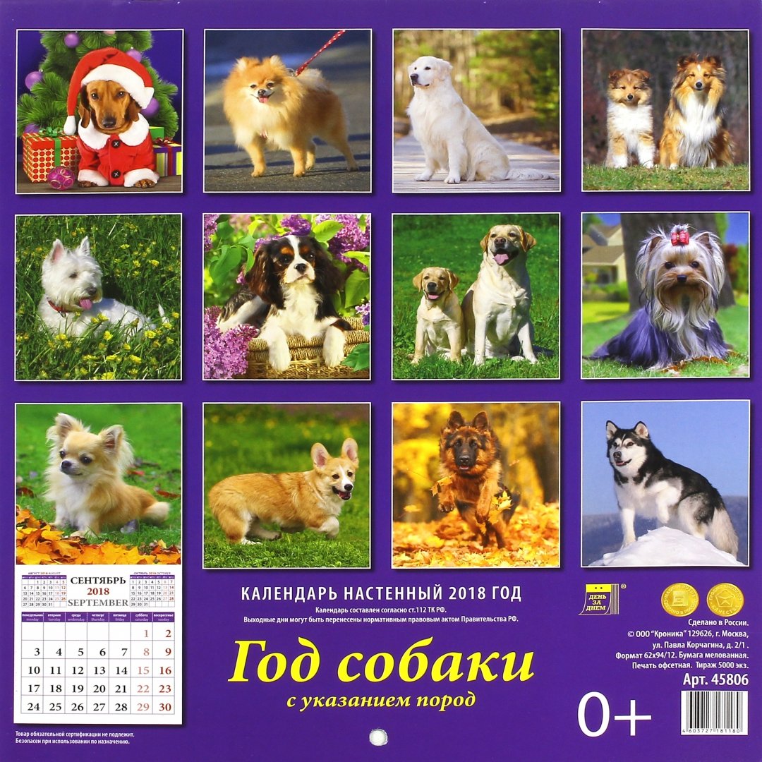 Иллюстрация 1 из 11 для Календарь настенный на 2018 год "Год собаки" (45806) | Лабиринт - сувениры. Источник: Лабиринт