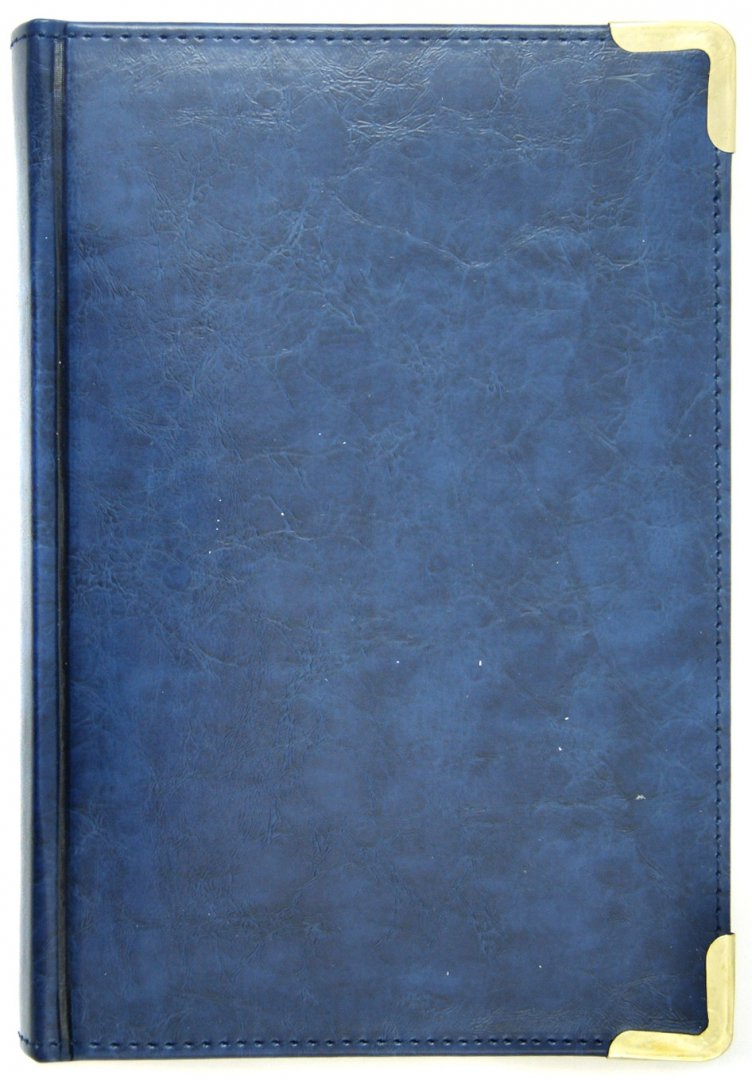 Иллюстрация 1 из 2 для Ежедневник датированный 176 листов "Nappa", А5, синий (ЕК517612) 2013 год. | Лабиринт - канцтовы. Источник: Лабиринт