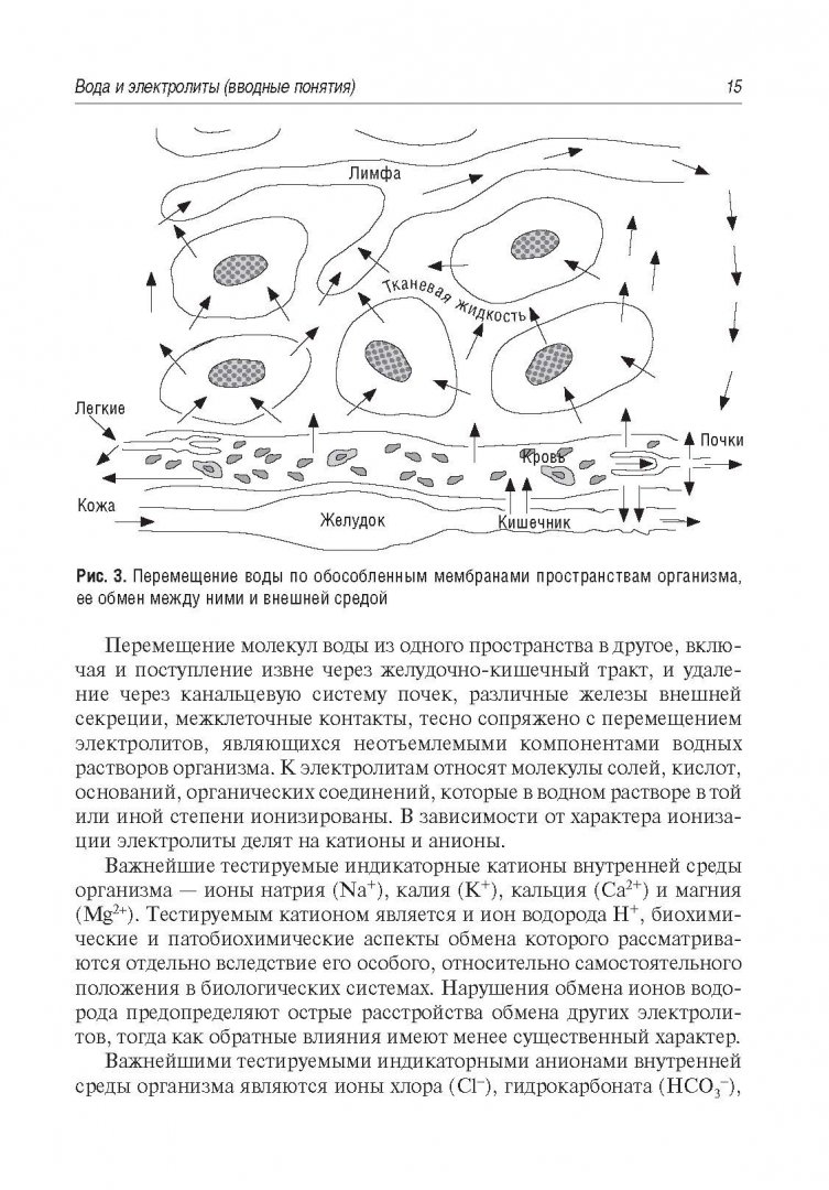 Иллюстрация 6 из 17 для Водно-электролитный обмен и его нарушения. Руководство для врачей - Карпищенко, Антонов, Жерегеля, Минаева | Лабиринт - книги. Источник: Лабиринт